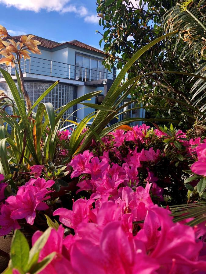 Quinta Da Bela Vista Villa Ponta Delgada Dış mekan fotoğraf