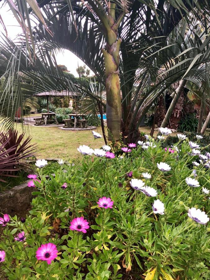 Quinta Da Bela Vista Villa Ponta Delgada Dış mekan fotoğraf
