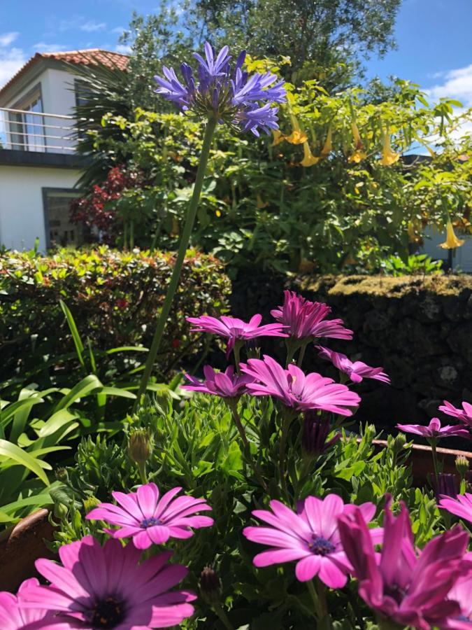 Quinta Da Bela Vista Villa Ponta Delgada Dış mekan fotoğraf